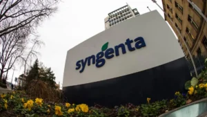 trabajar en Syngenta